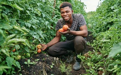 Sustainable Livelihoods Initiative