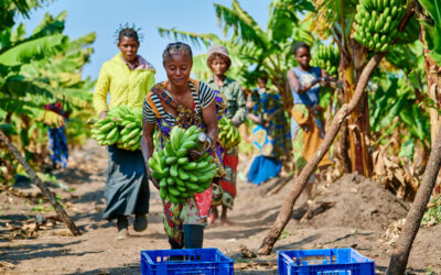 Kamoa Copper S.A. Makes Partial Payment of USD 310,661.11 Towards 0.3% Community Development Allocation